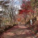 함안어탕 이미지