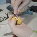 분도유치원 | [유치원소풍도시락]성인 쿠킹 원데이클래스 후기 "봄소풍 캐릭터 도시락 만들기"