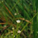 곡정초등학교 이미지