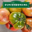 토마토 이미지