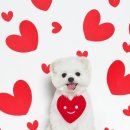 루체테스튜디오 이미지