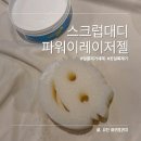 원대디클린 | 옷 섬유얼룩 패브릭 얼룩 제거 세제 스크럽대디 파워이레이저젤