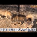 재왕과 강단 이미지