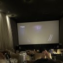 스트레스리스 | CGV 씨네드쉐프 압구정 스트레스리스 좀비딸 후기