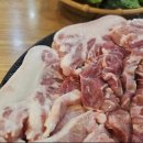 생생뒷고기 - 세종특별자치시 | 생생뒷고기
