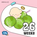 서문카 이미지