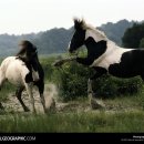 향기있는풍경 이미지