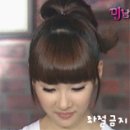 선미포차 이미지