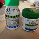 신흥농약사 이미지