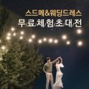 英다이애나비 '세기의 결혼식'…7.6m 웨딩드레스 대중에 공개 이미지