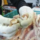 수유한우 이미지