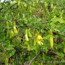 꿈의 대화 이미지