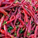 한근농장 이미지