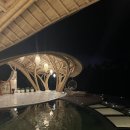 발리 2주살기 우붓 신상 숙소 Solana Luxury Wellness Retreat