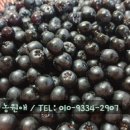 농업회사법인 (주)수농원 이미지