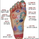 발건강 이미지