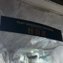 웅진빌딩 | 🌈 부천 아쿠아리움 / 웅진플레이도시 아쿠아리움...바위너구리 만나기 가격 장단점 솔직후기 예약방법
