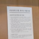 논현역 우동 맛집 코코나야 카레우동 내돈내산 후기