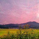 태백산맥 이미지