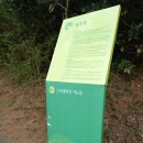 제주여행 [민오름] 제주오름 : 많이찾는 오라2동 동네오름