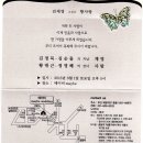 김순돌