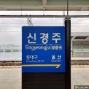 NR-7[원화로]-하-620 | 원조콩국, 첨성국립경주박물관, 황촌, 가배향주, 620콜린스, 가봉반과, 천마총, 대릉원, 어서어서, 황남...