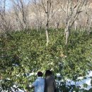 온천슈퍼 - 아산시 아산온천로157번길 94 | 온천슈퍼