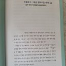 절세티비