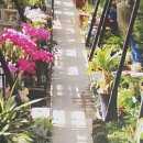 조은정원농장 이미지