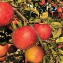 은경농장 이미지