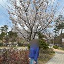 나루떡볶이 이미지