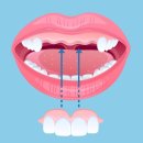 조은치과의원 이미지