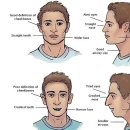 올리브한방병원 | [내돈내산] 올리브영 꿀템 고요 코코픽 비강 확장기 코골이, 비염 한방에 잡은 후기