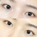 베스트샵 양주덕계점 | 양주 속눈썹펌 덕계역 해즈 뷰티 속눈썹펌 맛집 후기