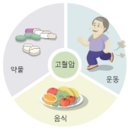 고혈압의 정의, 원인, 증상, 치료법 - 서울대학교병원 자료 이미지