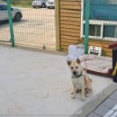 장보고해물찜 이미지