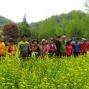 산흥초교 이미지