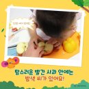 해바라기과일 이미지