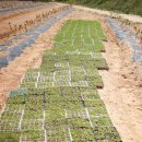 산수농장 이미지