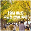 (주)현충사에너지 | [충남 아산] 가을 천안 단풍보러 아산 곡교천 은행나무길 (+주차꿀팁)