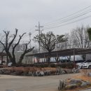 남성 초등학교 병설 유치원 이미지