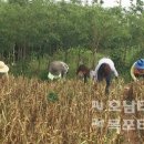 군서면사무소 이미지