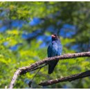 파랑새농장 이미지