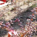 뜨락농원 이미지