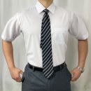 포시즌셔츠 이미지
