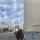 인디고 | 후쿠오카 여행 유후인 버스 투어 내돈내산 후기 (인디고 트래블, 유후인 카페 추천)