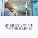반려동물병원 | 믿고 맡길 수 있는 반려동물 병원, 선택의 기준은?