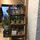 현진주유소 이미지