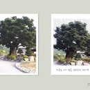 명봉산 경로당 이미지