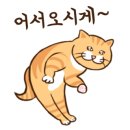 보광탕